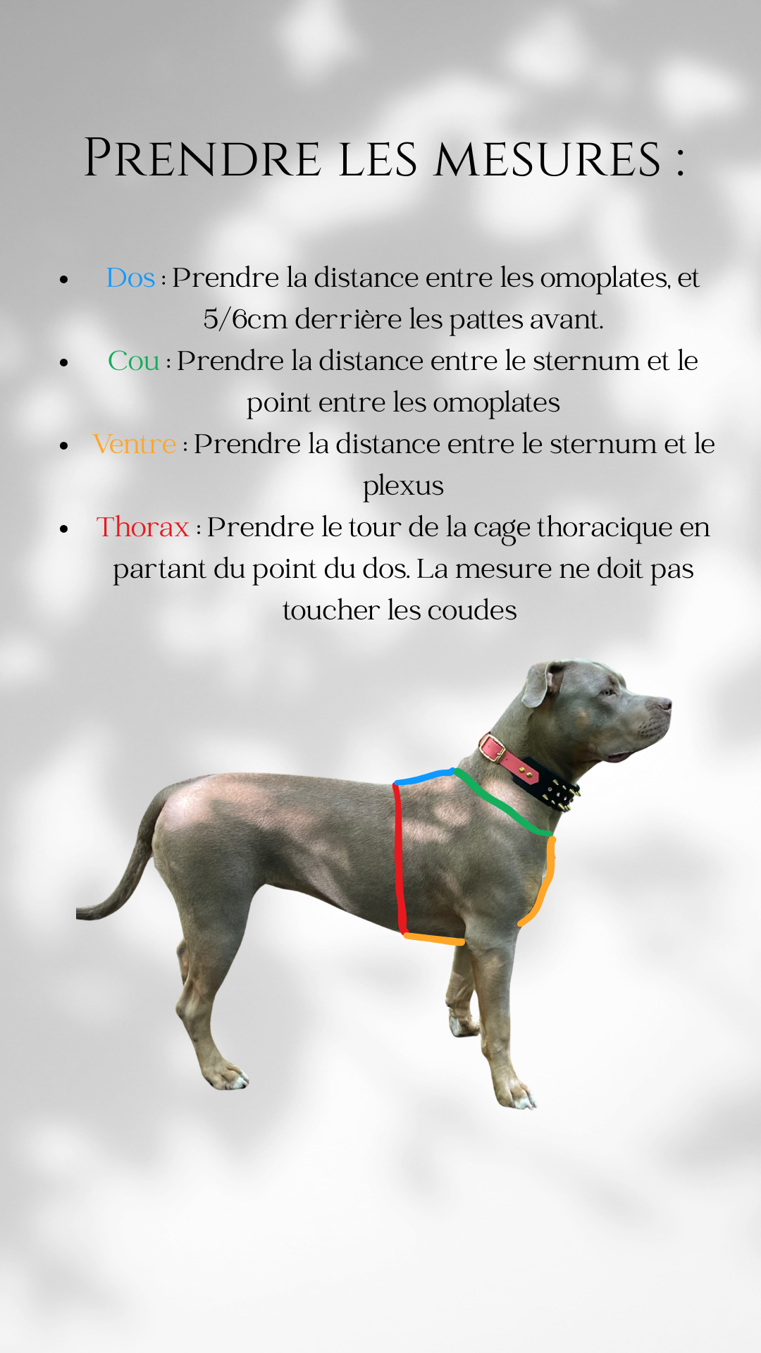 Harnais Y impression UV