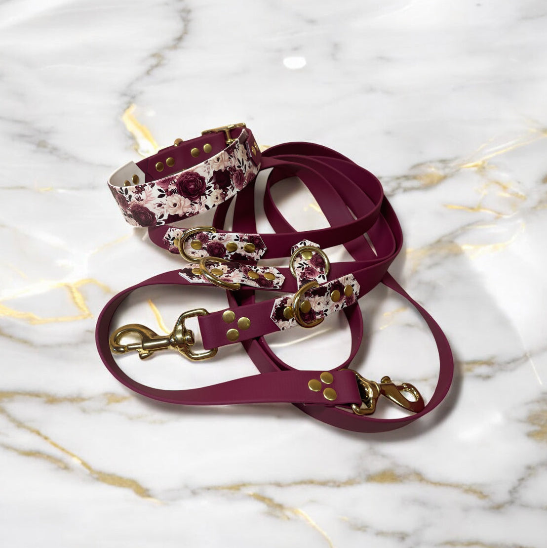 Laisse Multi-position Biothane