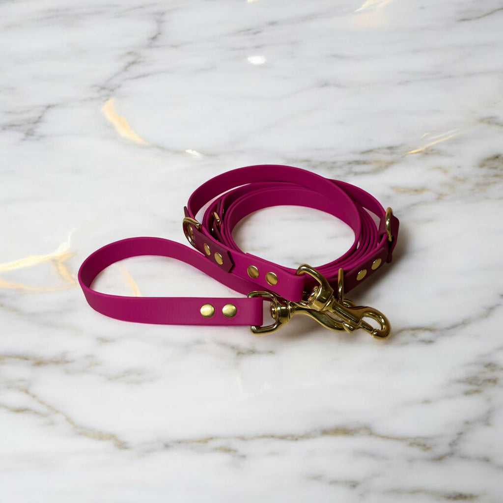 Laisse Multi-position Biothane