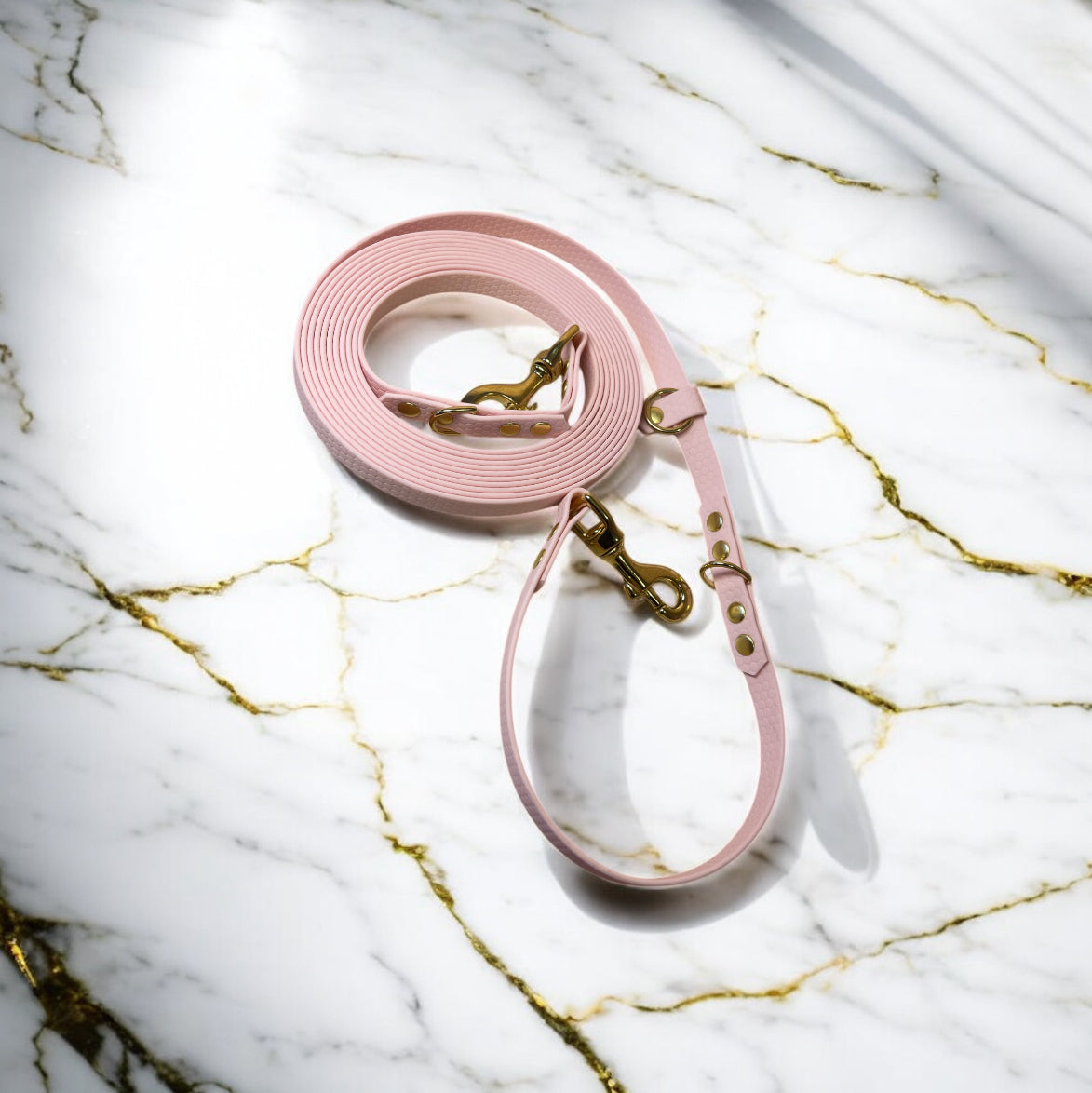 Longe Multi-position Hexa