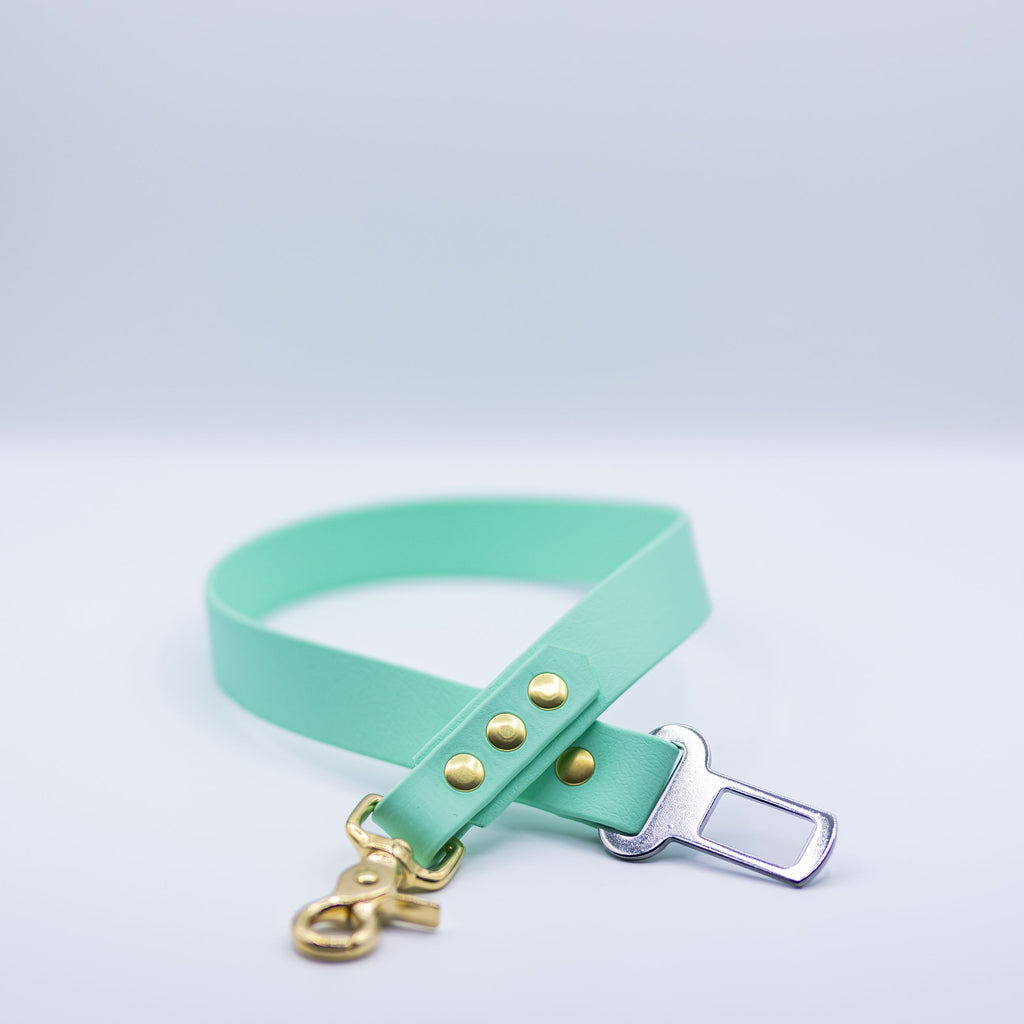 Ceinture de sécurité