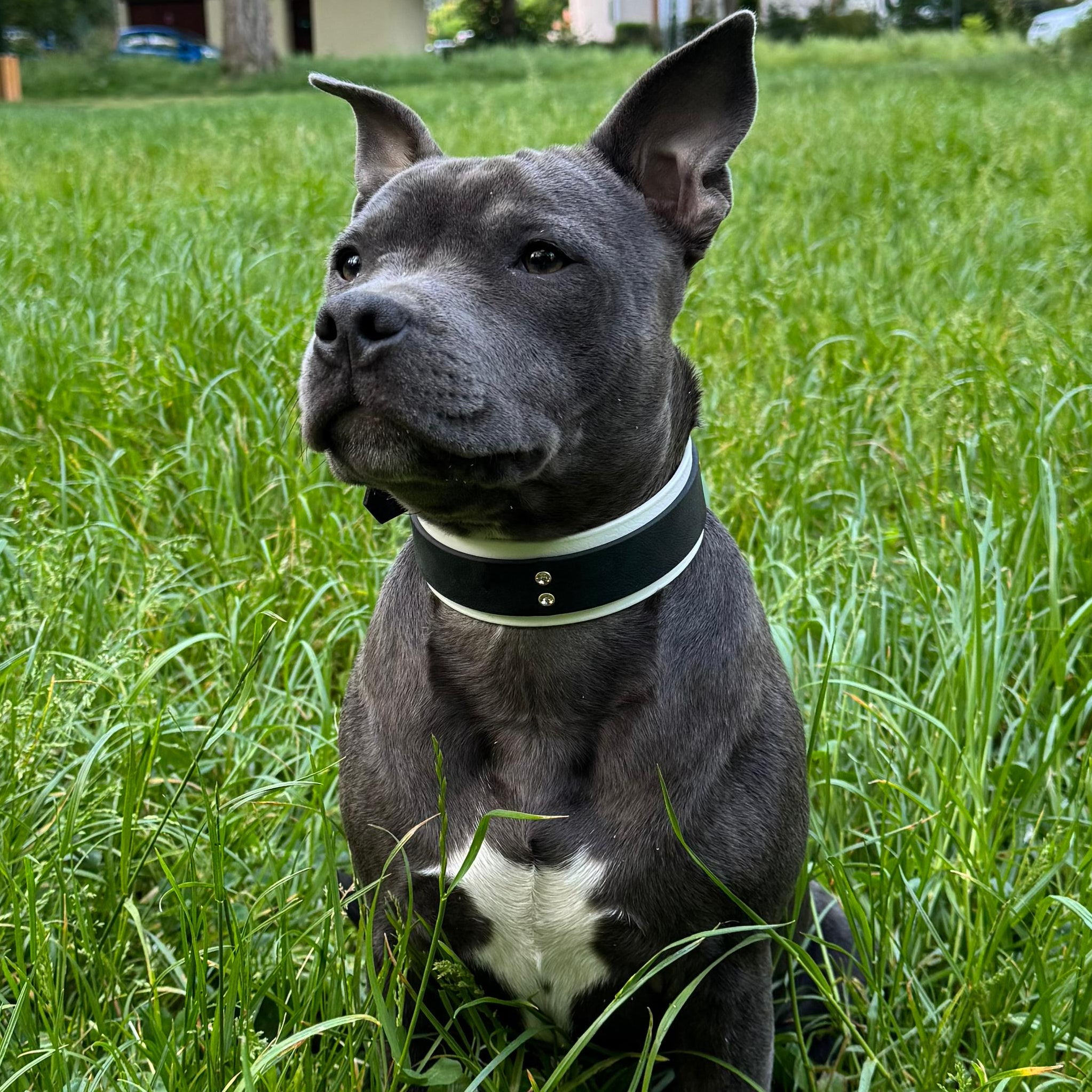 VELKA